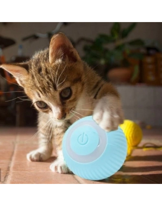 İnteraktif Kedi Köpek Şarjlı Oyun Topu