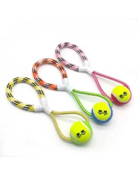 İpli Köpek Oyun Topu