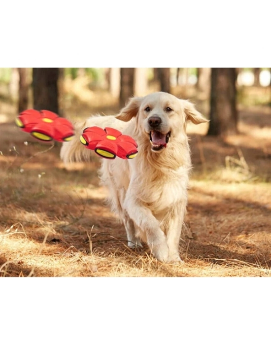 Işıklı Zıplayan Frizbi Evcil Hayvan Topu