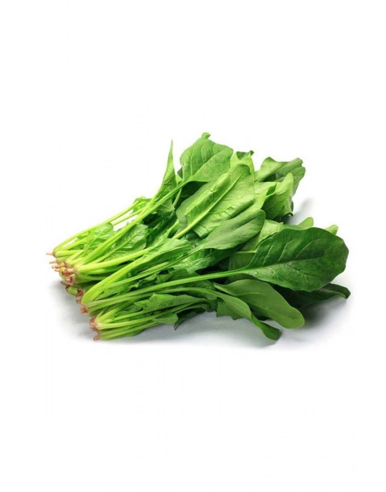 Ispanak Tohumu 25 Gr