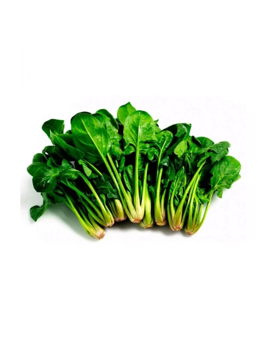 Ispanak Tohumu 25 Gr