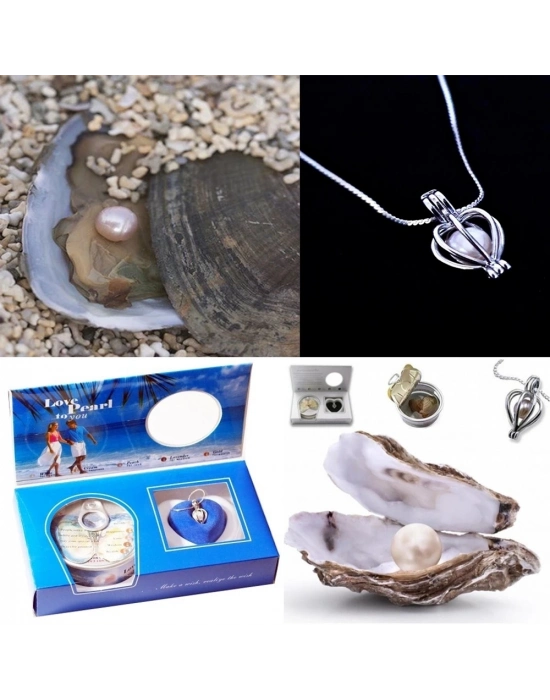 İstiridye İçinde İnci Kolye Seti