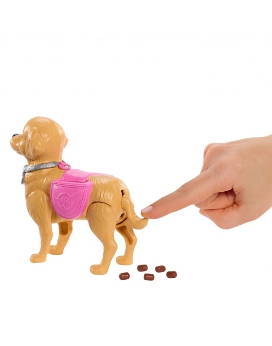 JJB46 ve Köpekçiğin Yürüyüş Zamanı