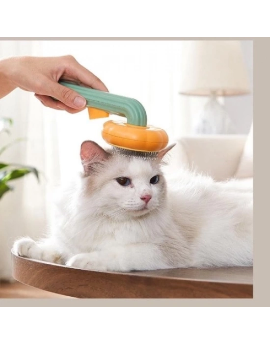 Kabak Tasarımlı Evcil Hayvan Tarağı