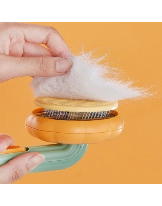 Kabak Tasarımlı Evcil Hayvan Tarağı