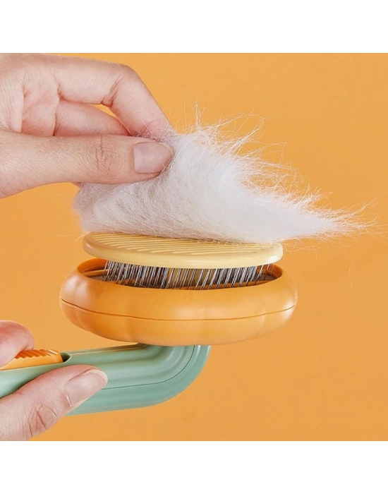 Kabak Tasarımlı Evcil Hayvan Tarağı