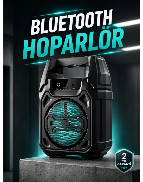 Kablosuz 6.5 İnç TWS Bluetooth Hoparlör