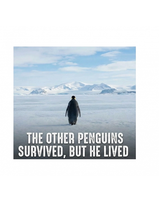 Kadın Oversize Tişört - Sırt Baskılı Survivor Penguin Temalı, Felsefi Yazılı Bisiklet yaka Tişört - Siyah