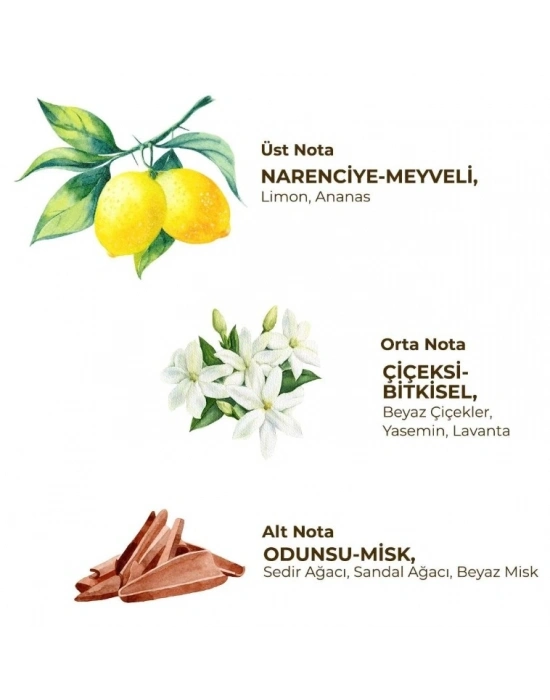 Kadın Roll On Deodorant 75 ml Fresh