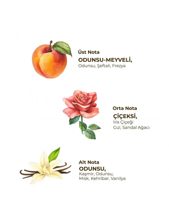 Kadın Roll On Deodorant 75 ml Soft