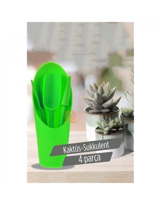 Kaktüs Sukkulent Dikim Seti 720516