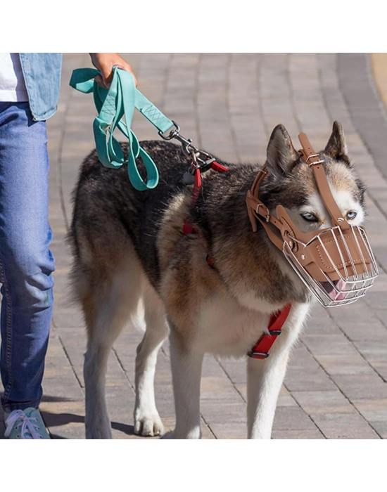 Karamel Pet Metal Deri Köpek Ağızlığı M 33 cm