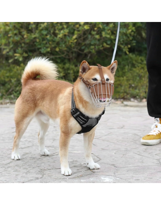 Karamel Pet Metal Deri Köpek Ağızlığı S 30 cm