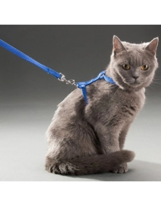 Kedi Boyun ve Göğüs Tasması