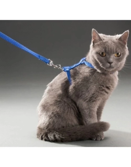 Kedi Boyun ve Göğüs Tasması