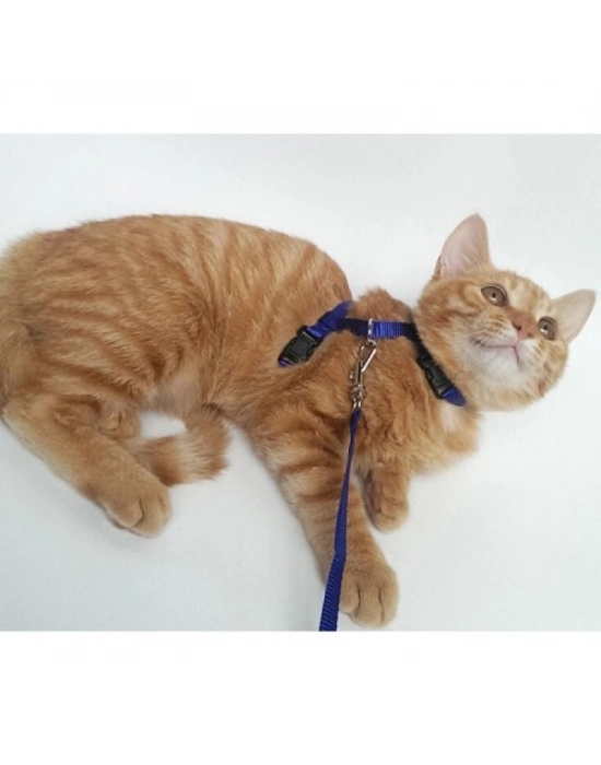 Kedi Boyun ve Göğüs Tasması