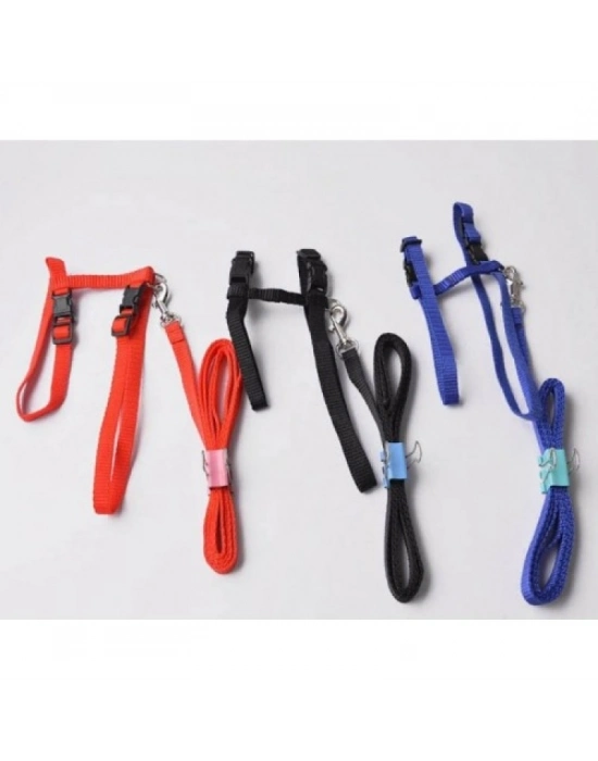 Kedi Boyun ve Göğüs Tasması