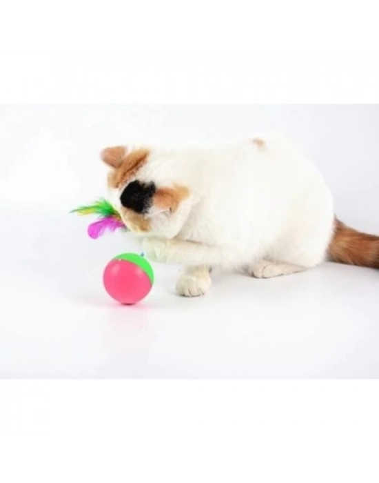 Kedi Fare Hacıyatmaz Oyunu