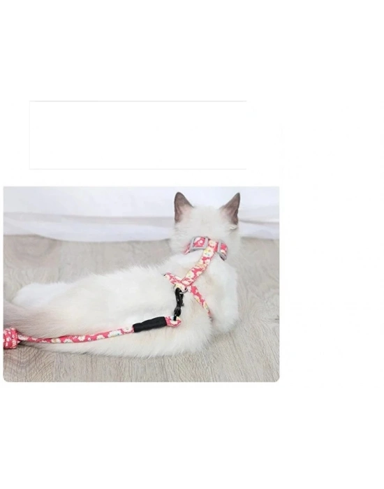 Kedi Gezdirme Göğüs Tasması