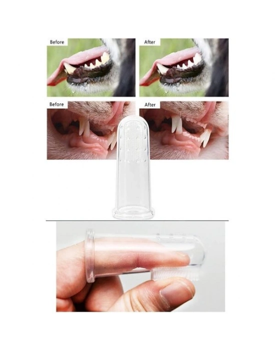 Kedi Köpek Diş Temizleme Fırçası