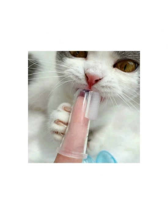 Kedi Köpek Diş Temizleme Fırçası