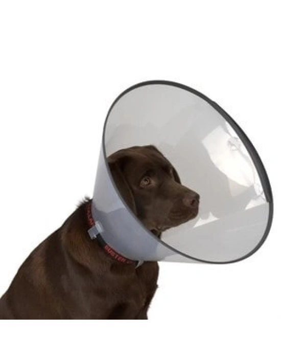 Kedi Köpek Yakalığı 10 cm