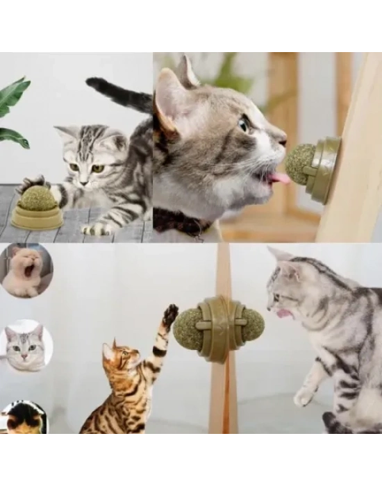 Kedi Nanesi Oyun Topu