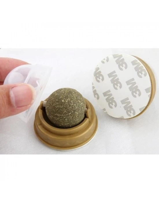 Kedi Nanesi Oyun Topu