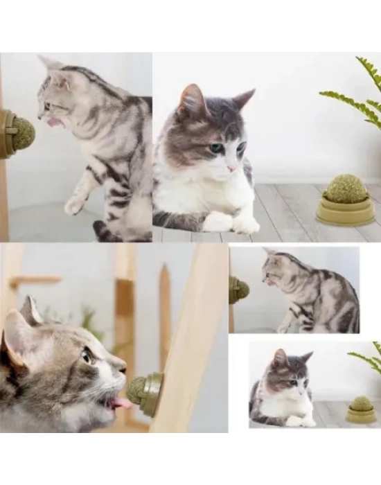 Kedi Nanesi Oyun Topu