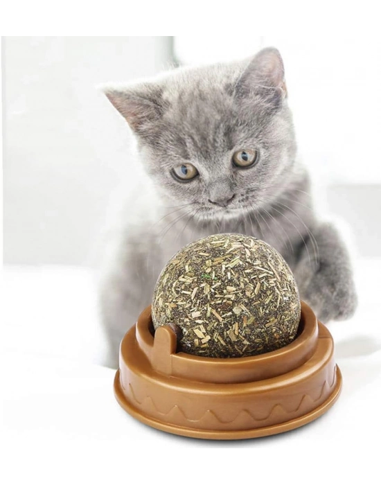 Kedi Nanesi Oyun Topu