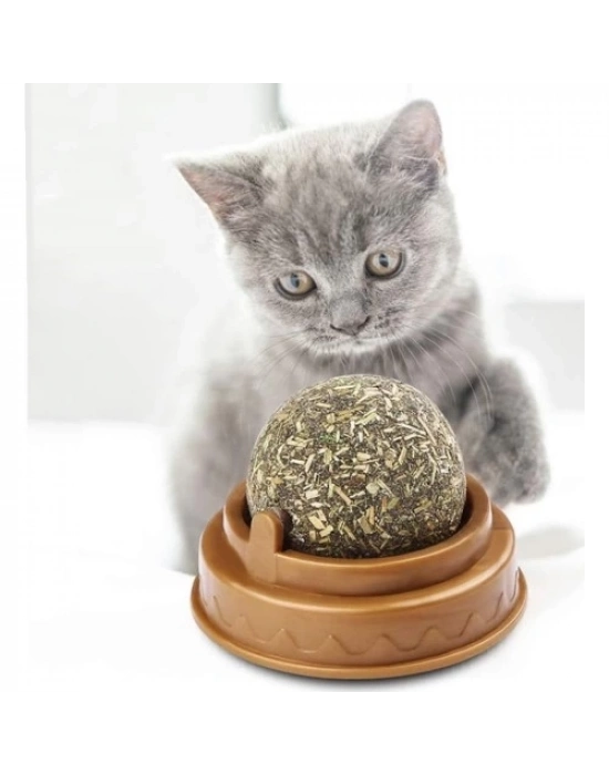 Kedi Nanesi Oyun Topu