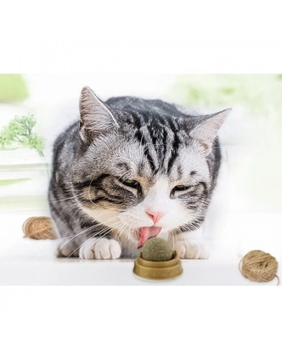 Kedi Otu Oyun Topu Cat Mint