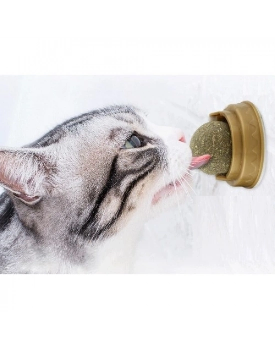 Kedi Otu Oyun Topu Cat Mint