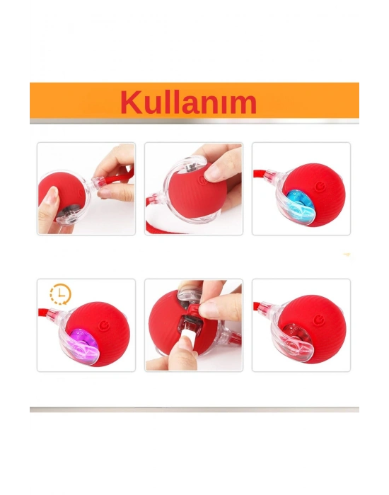 Hareketli Şarjlı Işıklı 360 Derece Dönen Akıllı Oyun Topu Kuyruklu İnteraktif Kedi Köpek Oyun Topu