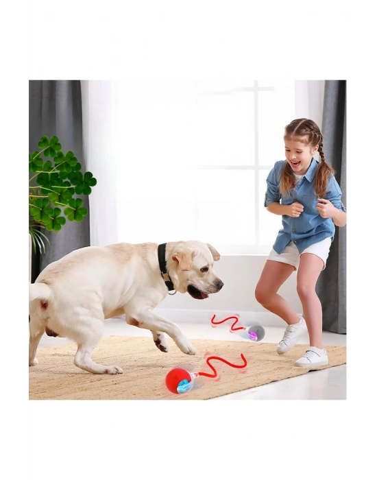Hareketli Şarjlı Işıklı 360 Derece Dönen Akıllı Oyun Topu Kuyruklu İnteraktif Kedi Köpek Oyun Topu