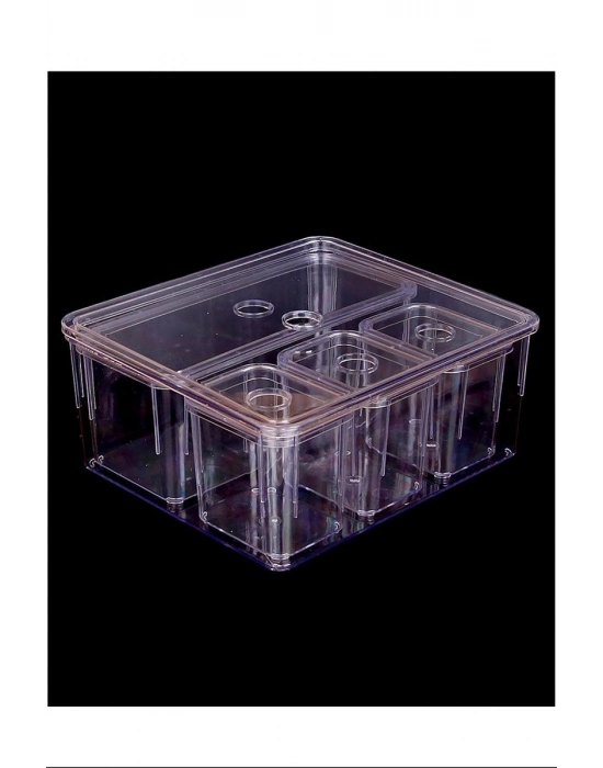 King 5li Organizer Düzenleyici Royaleks-FR-173