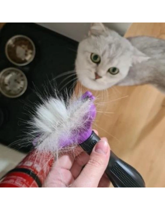 Kısa Tüylü Kedi Tarağı 45 KG ye Kadar