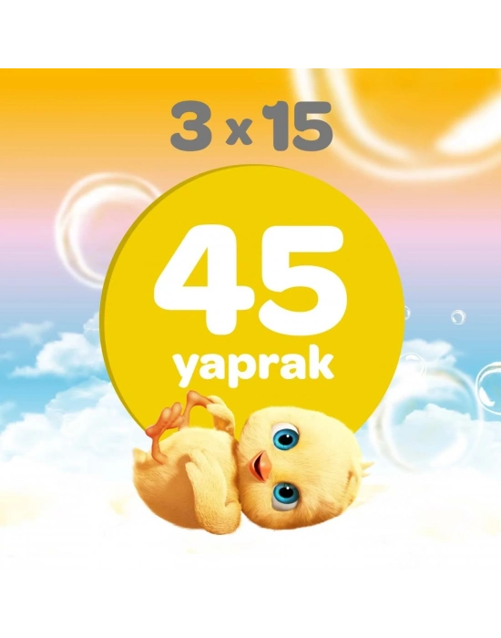 Klasik Islak Cep Mendil 3x15 Adet