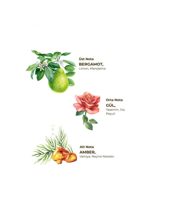 Kolonya Pet Şişe Sprey 150 ml Amber