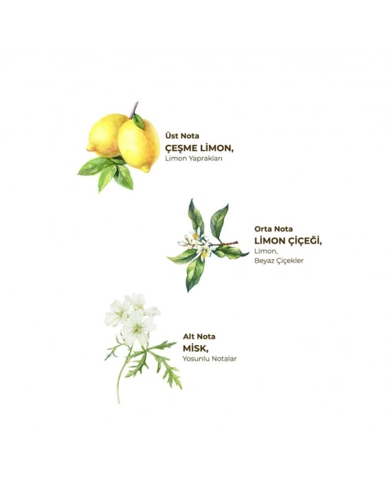 Kolonya Pet Şişe Sprey 150 ml Çeşme Limonu