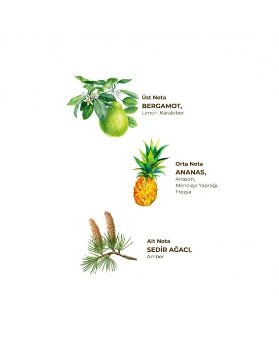 Kolonya Pet Şişe Sprey 150 ml Okyanus