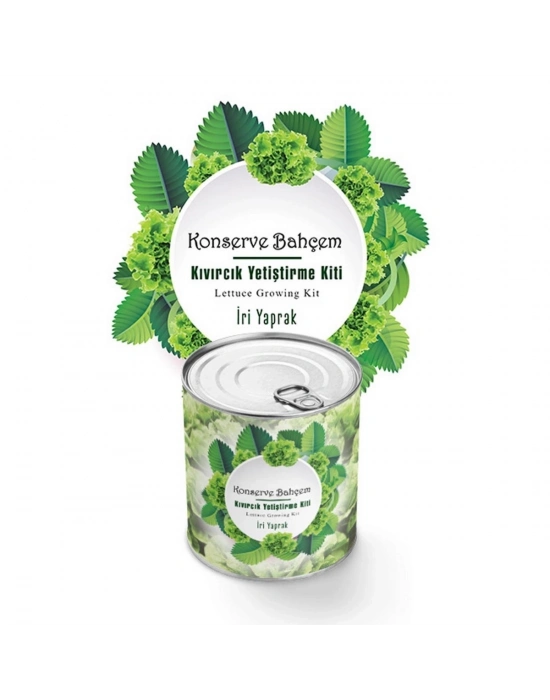 ®  Konserve Bahçem Evde Konservede İri Yapraklı Kıvırcık Yetiştirme Kiti