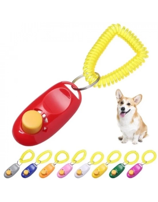 KÖPEK EĞITIMI CLICKER