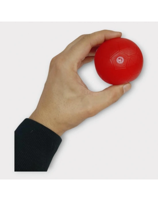 Köpek Oyuncağı - Plastik Düdüklü Top - Kırmızı