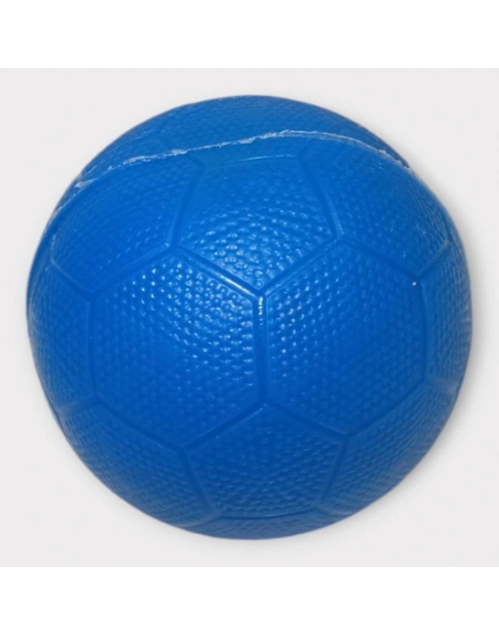 Köpek Oyuncağı - Plastik Düdüklü Top - Mavi