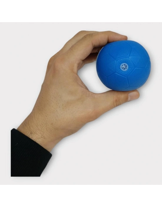 Köpek Oyuncağı - Plastik Düdüklü Top - Mavi