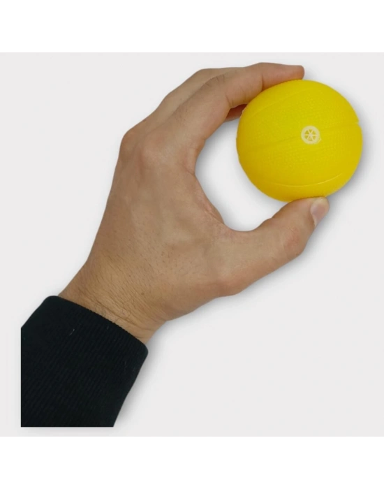 Köpek Oyuncağı - Plastik Düdüklü Top - Sarı