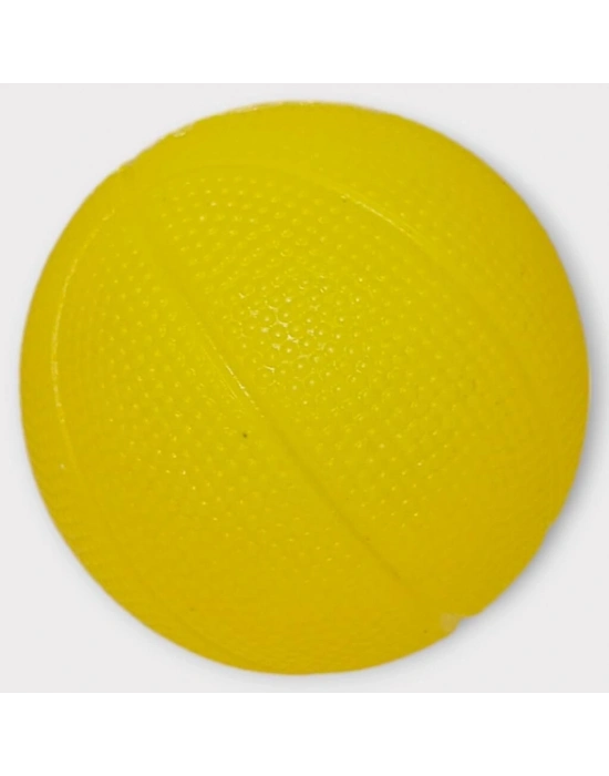 Köpek Oyuncağı - Plastik Sesli Top - AGT001