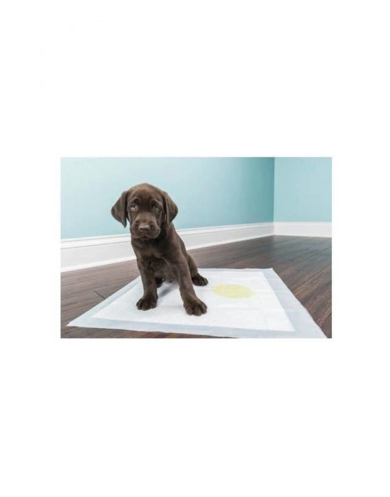 Köpek Tuvalet Çiş Eğitim Pedi 60x90 cm ( 10 Adet )