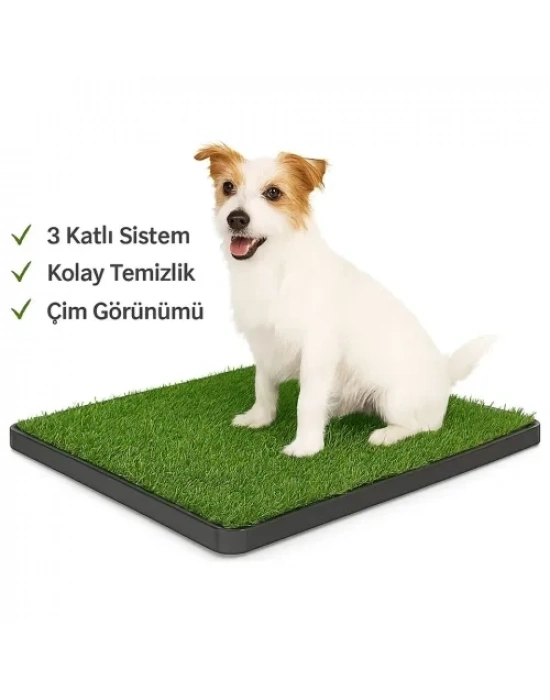 Köpek Tuvalet Eğitim Seti
